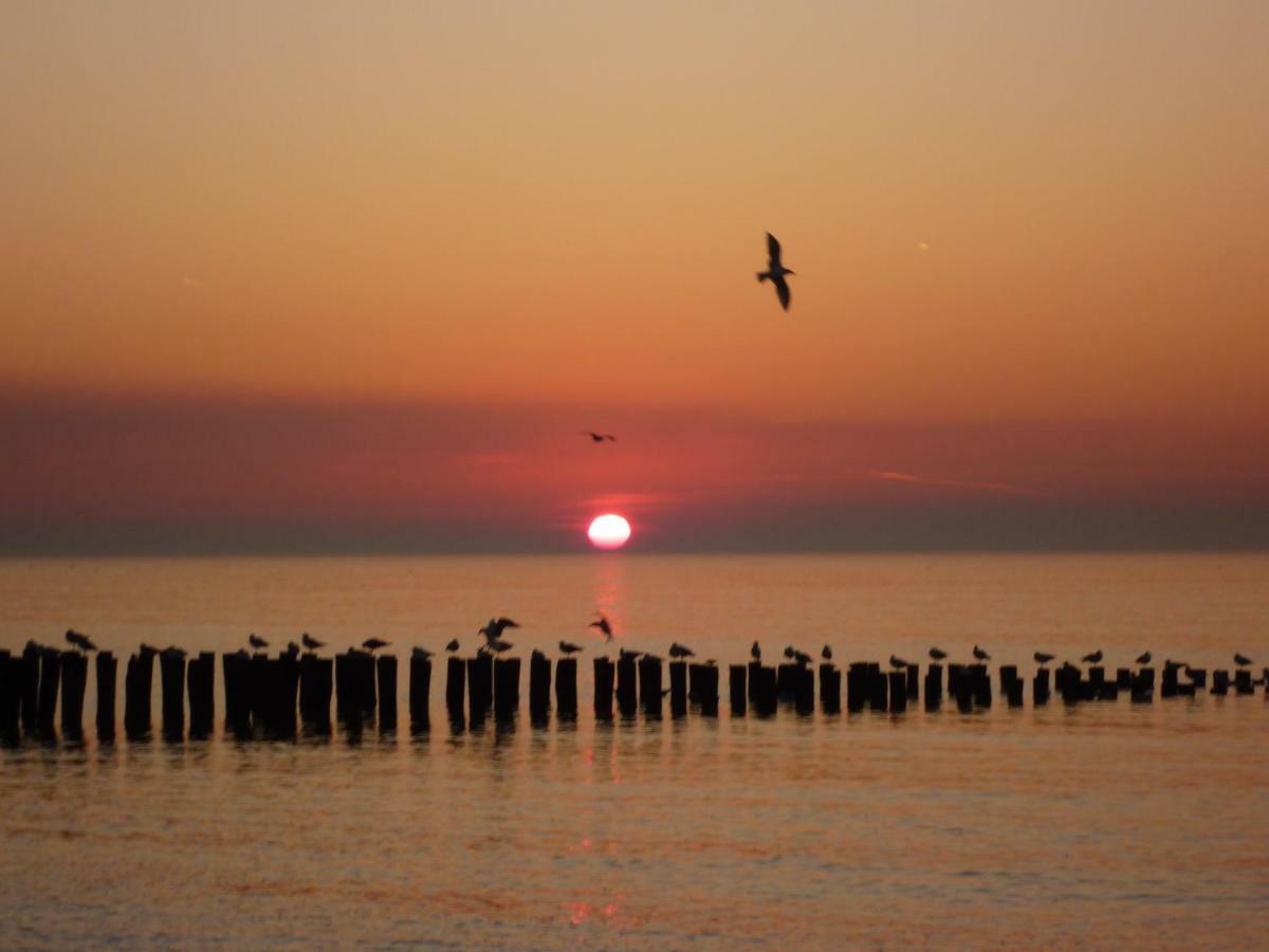 Knusse Vakantiewoning Domburg Do04 Eksteriør bilde